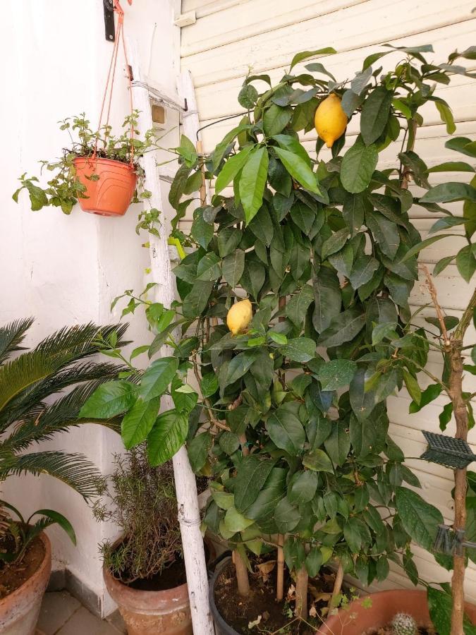 Daria's Casa de Férias Palermo