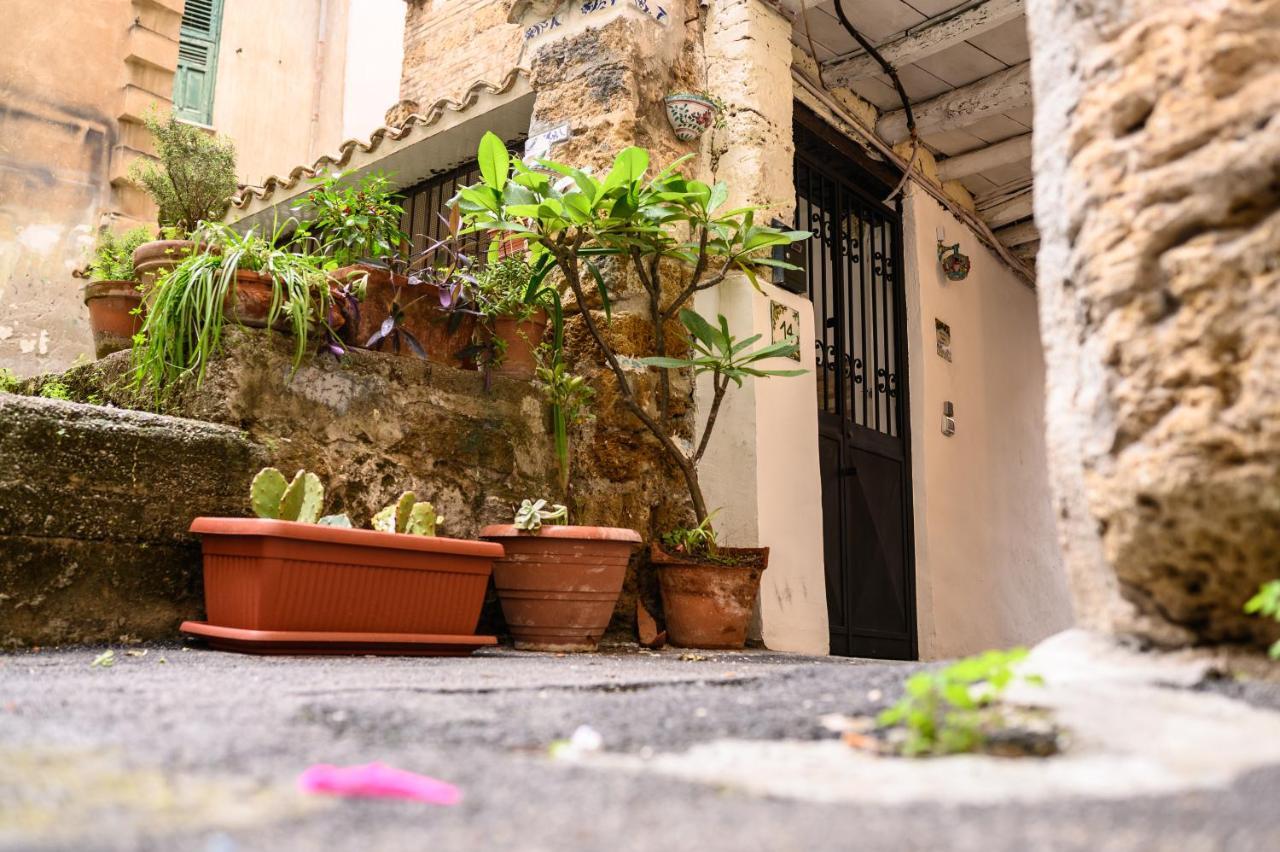 Daria's * Palermo